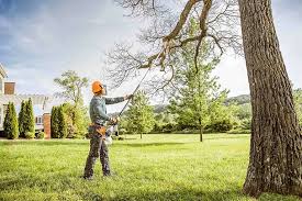  St Anthony, MN Tree Removal Pros